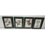 Set of 8 prints of flowers and plants, in (damaged) green frames (8)