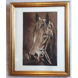 Legion Kostalski Portrait of a Horse 4/10 Print { 37cm X 24cm }.