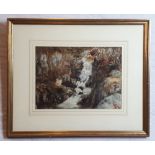 William Nicholl Waterfall Coloured Print { 24cm X 33cm }.