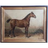 Horse Coloured Print {42cm X 57cm }.