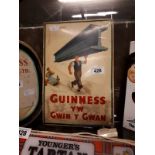 Rare early 20th C. Guinness celluloid advertisement bi - lingual English and Welsh.