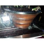 Pair of wooden plant pots and plant