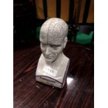 Phrenology head