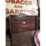 1930's oak specimen cabinet.