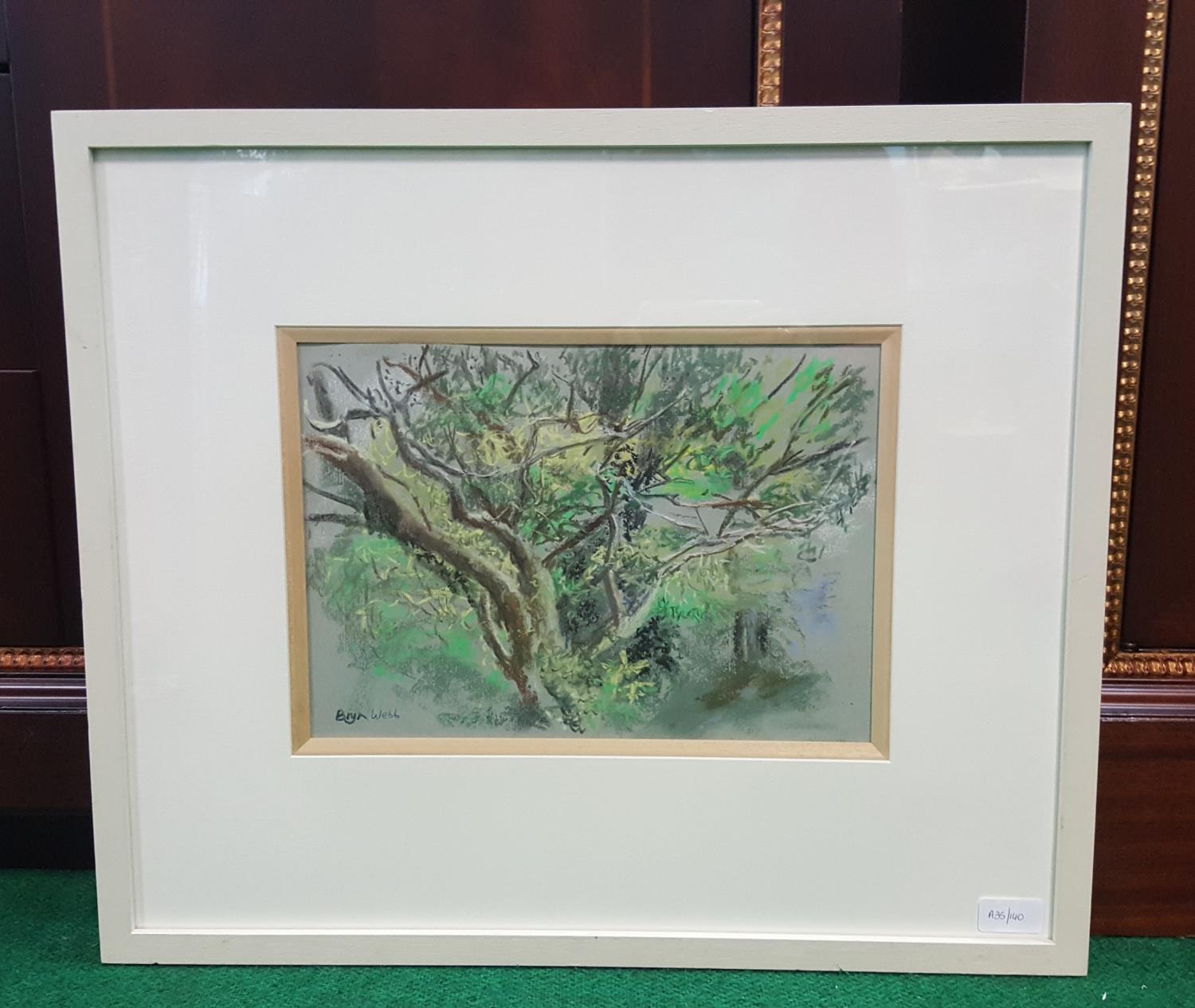 Bryn Webb, Pastel - The Old Orchard, signed l.l., glazed in a white box frame, 9.5 x 13.