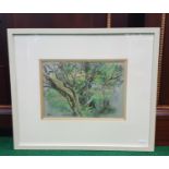 Bryn Webb, Pastel - The Old Orchard, signed l.l., glazed in a white box frame, 9.5 x 13.