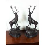 Pair of bronze stags mounted on marble bases.