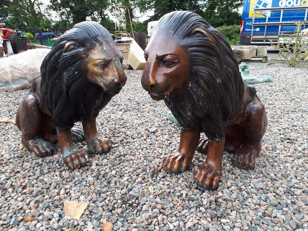 Pair of bronze seated lions. { 75cm H X 82cm W }.