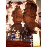 Large cow hide.