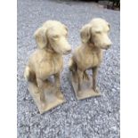 Pair of composition stone hounds.