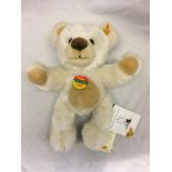 PADDY TEDDY BEAR, CREAM,