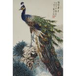 Wu Yisheng 伍彝生 (1929-2009), Peacock, 伍彝生 (1929-2009) 松枝孔雀“錦繡華堂” 設色紙本 鏡心, 27.2 x 18.2 in — 69 x 46.2