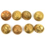 8 infantry OR’s large brass numbered tunic buttons: 25th, 31st, 32nd, 33rd, 40th, 42nd, 43rd and