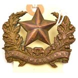 An OR’s 1874 pattern brass glengarry badge of The 26th (Cameronians) Regt (463). Basically GC (minor