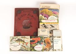 A Schauker's Stamp Album containing a number of 19th century stamps and 17 sets of Brooke Bond and
