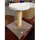 A CAT SCRATCHING POLE