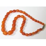 A single strand of butterscotch amber beads, length 40cm, gross wt. 18.6g.