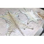 A group of three taxidermy animal skins comprising tiger, cheetah and another