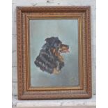 19th Century school, portrait of a dog, oil on canvas, 26cm x 36cm, indistinctly signed, framed 39cm