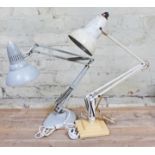 Two anglepoise lamps; Herbert Terry & Sons and a Ledu.