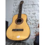 ACOUSTIC GUITAR