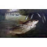 A. Roland Knight (fl. 1810-1840) Brown Trout, oil on canvas laid on board, signed, 28.5cm x 48.