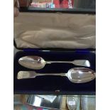 A case with 2 plated spoons