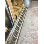 Large wooden extending ladders