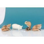 Two Purbeck pottery Wildlife series Foxes, a Gerbil & a Beswick Pig