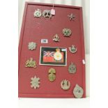 Collection of vintage Military Cap badges on a display board