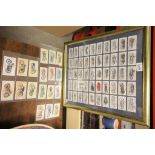 A framed set of Lambert and Butler cigarette cards classic motorcycles.and 24 Old Era Motor Cycle