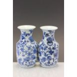 Pair of Oriental blue & white vases with Fruit pattern