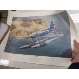 Aviation Print - Salute from the Sky and Spirit of the Solent prints