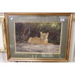 Dino Paravano framed pastel of a lioness, signed