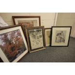 Collection of framed & glazed vintage prints & engravings to include Louis Wain and a Brasso advert