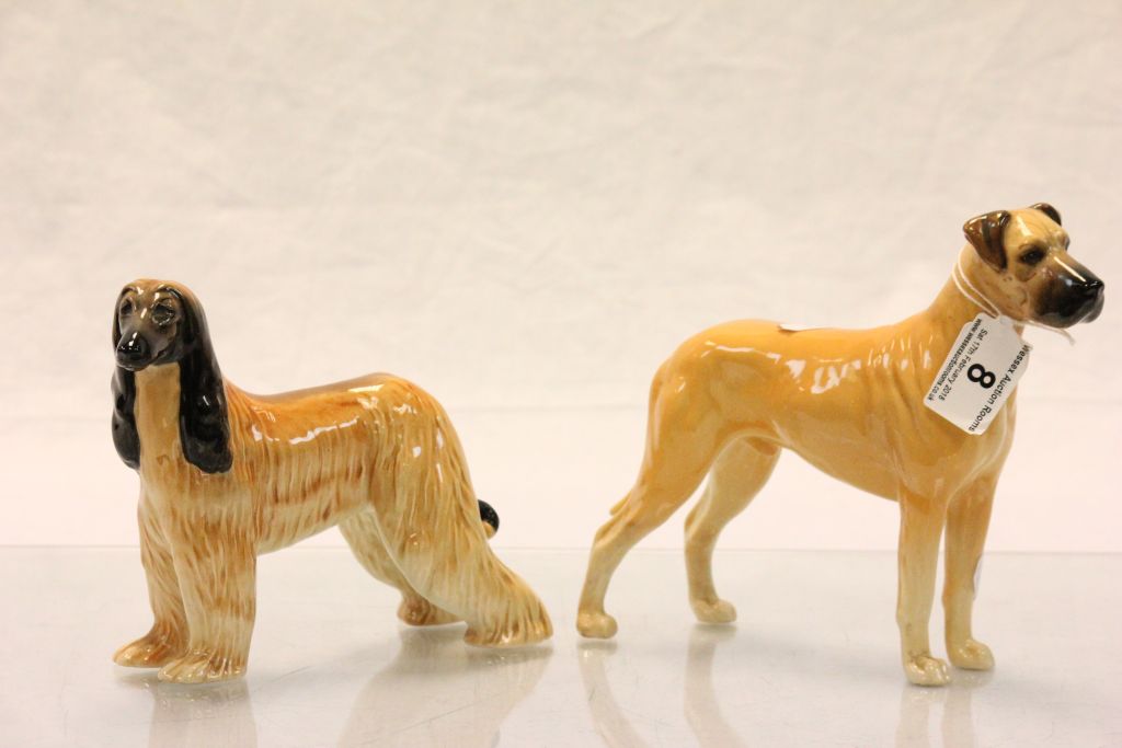 Two Beswick ceramic dogs, Ajubah of Dalves & C.H Ruler of Ouborough