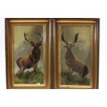 Framed & glazed pair of Stag Oil paintings on canvas