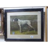 An oil painting study of a Point Setter Dog in wood frame