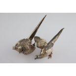A brace of silver pheasants, realistically modelled with textured feathers, one with spread wings