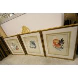 Seven Botanical Watercolours, Framed and Glazed