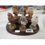 Set of Six Royal Doulton Owls on Wooden Stand