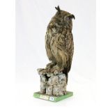 19th Century taxidermy European Eagle Owl