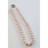 Row of large freshwater pink pearls