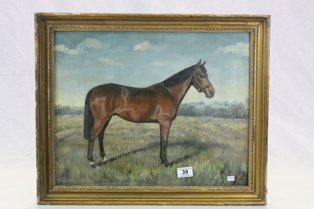 Oil Painting on Canvas of a Horse signed R Richardson 1906