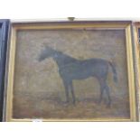 Oil on canvas study of a thoroughbred horse inscribed 'Osborne' signed and dated 1916