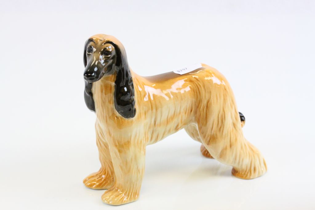 Beswick ceramic models of a Dachshund and a champion Afghan Hound, with rubbed marks to foot - Image 2 of 7