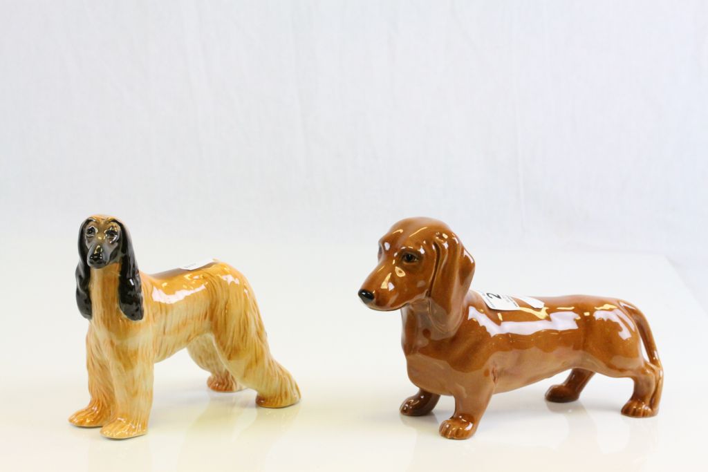 Beswick ceramic models of a Dachshund and a champion Afghan Hound, with rubbed marks to foot