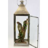 Taxidermy model of a Woodpecker in a large outside Lantern with glazed panels