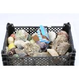 A collection of rocks, fossils & polished stones