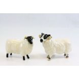 Beswick ceramic models of a Ram & Ewe